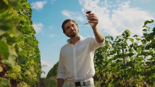 Young Wealthy Man in White Tshirt Evaluating Red Wine at Tasting Sommelier Tasting Pinot on Grape