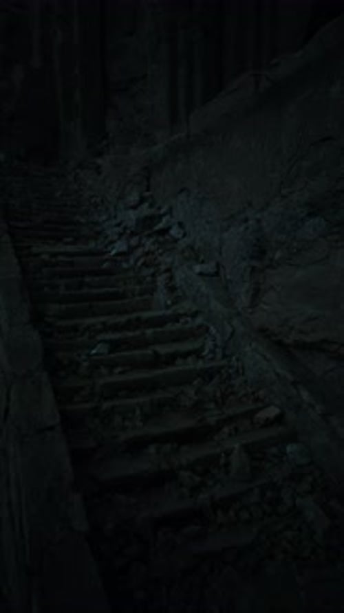 Exploring the Rocky Steps Leading Into the Mysterious Forest at Twilight
