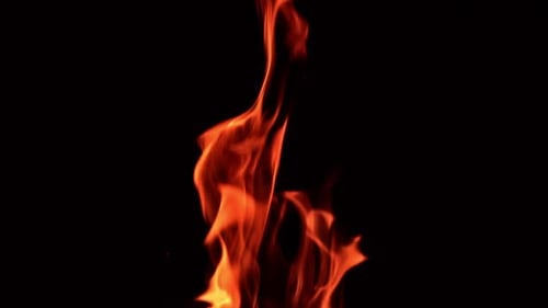 Dancing fire flames in total darkness. Tongues of blaze swaying to and fro and tiny sparkles flaring