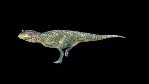 Carnotaurus Dinosaur Sprint Idle 2