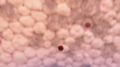 Close-up view of cellular structure with microvilli and organelles