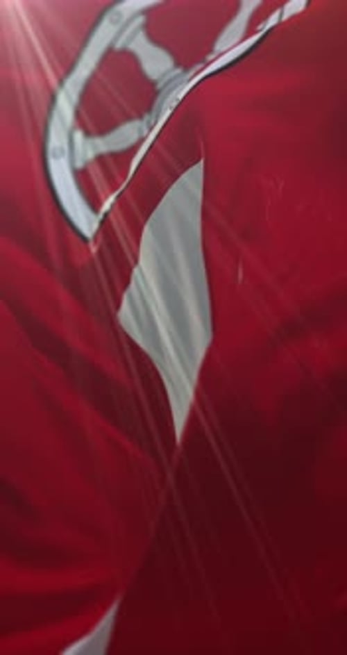 Erfurt Flag