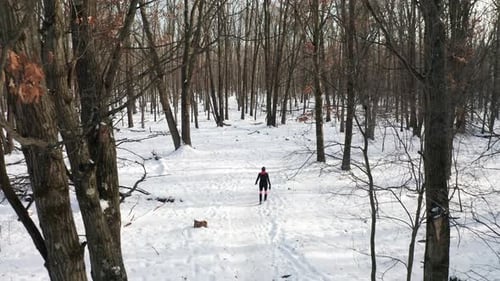 Aerial, person walking alone on empty snowy forest path during winter