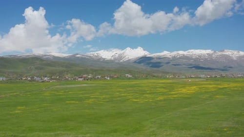 Aerial view mountain landscape. Drone fly over green field with yellow flowers.