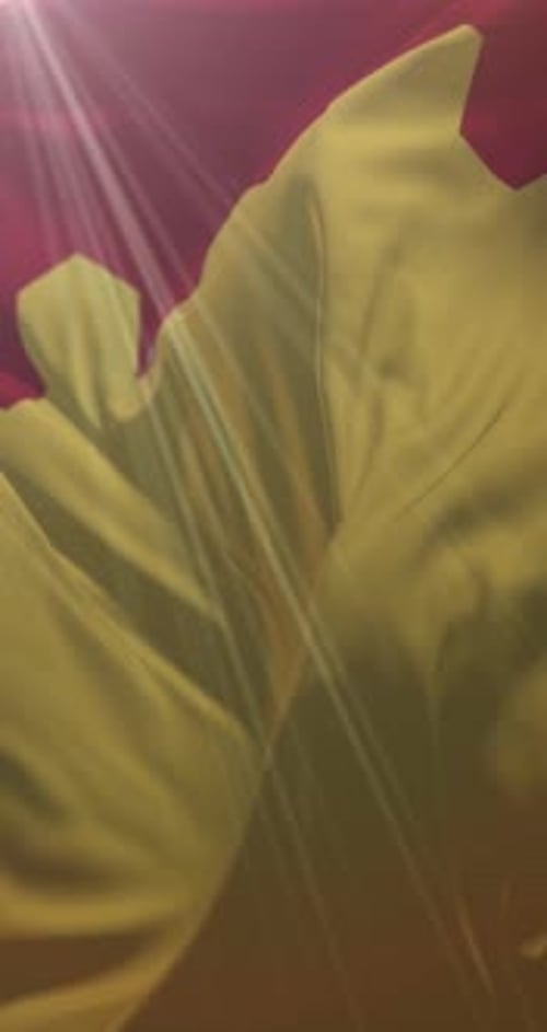 Abstract Waving Red and Yellow Fabric Background