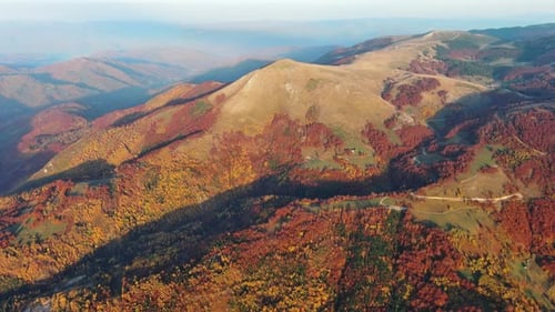 Flying Over Autumn Forest in Mountain