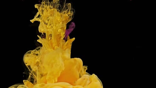 Abstract Gold and Pink Color Swirls Against Black