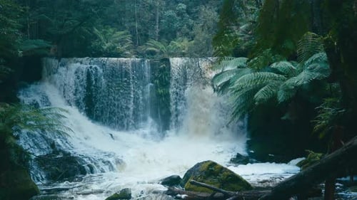 Beautiful Waterfall Cascading in Lush Greenery
