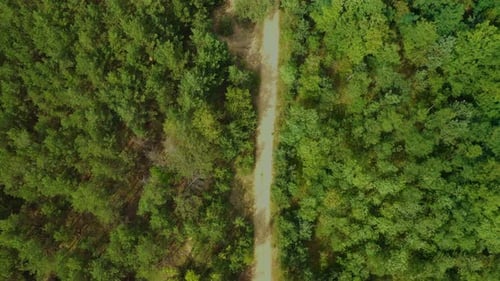 Aerial view of countryside road passing through the green forrest