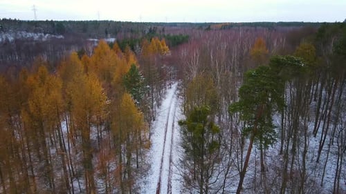 Aerial Winter Landscape with Trees and Rural Road Covered with Snow in Spruce Cold Forest