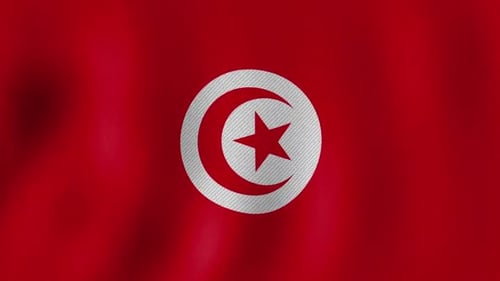 Waving Flag of Tunisia Seamless Loop Animation