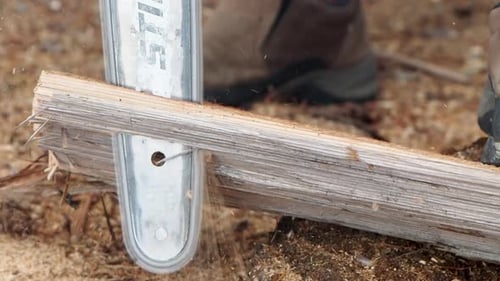 Close up of chain saw blade cutting wood