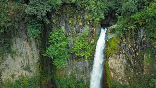 Steep cliff with vibrant waterfall emerging from forest into canyon of Costa Rica