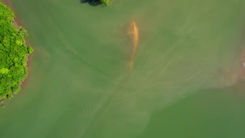 Drone flying over a river with a large mangrove forest
