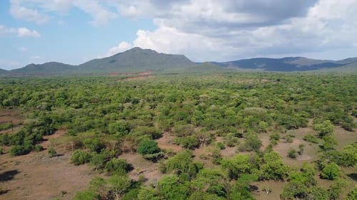 Zumbidos sobre la sabana etíope en el valle del Omo, una zona rural donde viven tribus