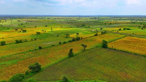 Aerial View of Rural Fields and Countryside Road