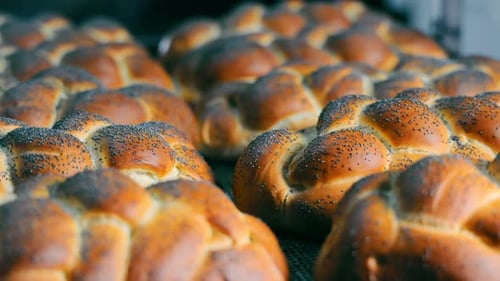 Freshly Baked Braided Buns with Poppy Seeds