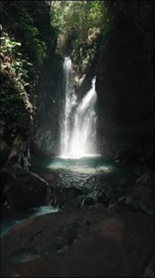 Tropical Waterfall Flowing Into Natural Pool In Bali Jungle