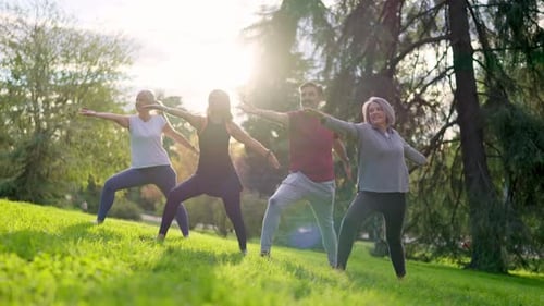 Senior Friends Practicing Yoga Together in the Park at Sunset