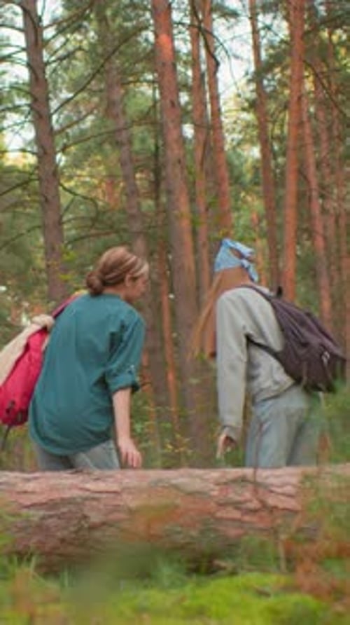 Friends Sharing Joyful Moment on Fallen Tree in Peaceful Forest