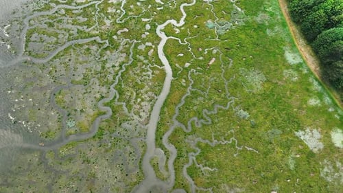Aerial view of river tyne and marshland, United Kingdom.