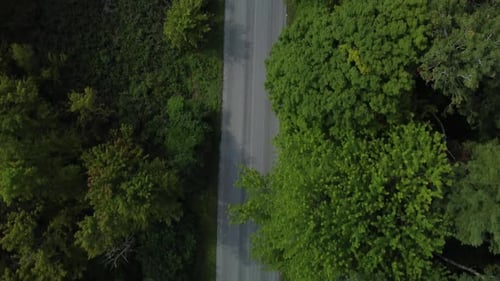 Driving down a road in the wooded forest