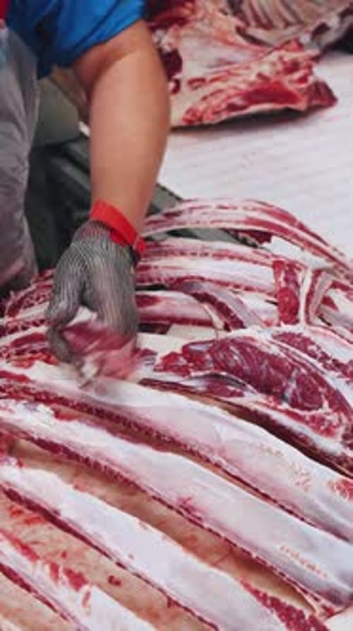 Meat Factory Meat Cutting Conveyor Meat Industry Manual Labor Beef and Pork A Butcher a Worker at