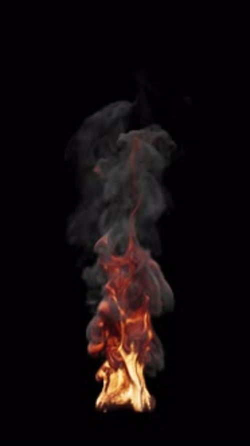 Animation of fire burning. File contains Alpha Channel.