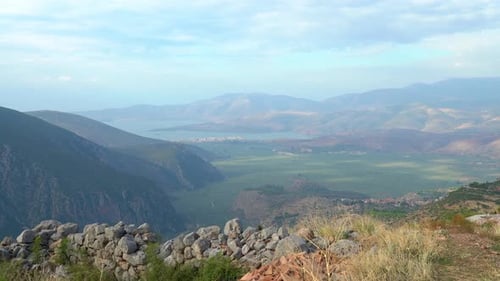 Olive Grooves near the Ancient City of Delphi with Itea Port in Distance