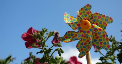 Colorful Heart Pinwheel Spinning in Garden