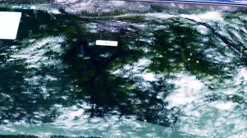 Vehicle windscreen reflects back rainfall, wet season, Brazil, South America