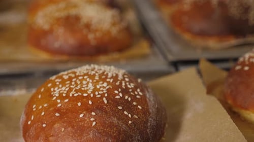 Closeup of Baked Crispy and Sesame Seed Burger Buns in the Restaurant Kitchen