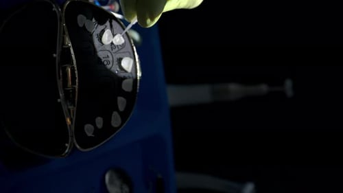 Artificial Teeth Selection by Gloved Hand in Hospital