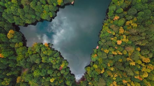 Bosque y lago otoñales