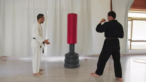 Men Practicing Karate in Studio