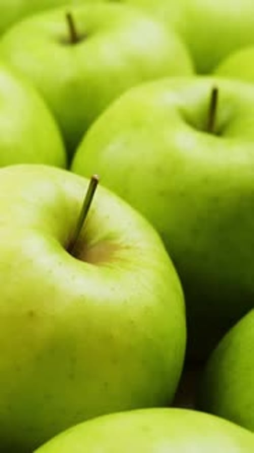 Vertical Screen Fresh Green Apples