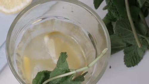Overhead view of summer lemonade with mint and lemon slice in bright natural light