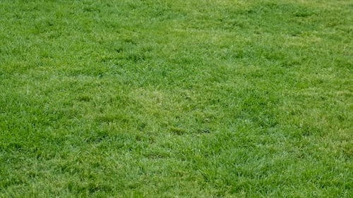 The Child Holds the Plant and Soil in His Hands