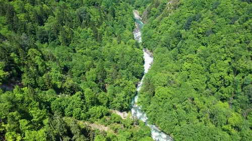 Aerial View Of Forest And River In Rize Camlihemsin