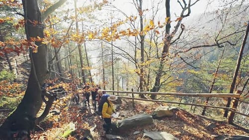 Group of Tourists Trekking in Autumnal Forest
