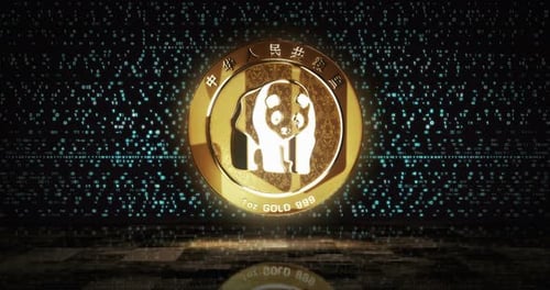 Panda chinese golden coin loop on digital screen