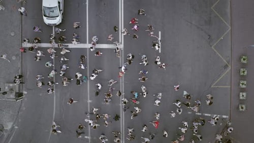 Aerial Top Down People Cross Road Pedestrian Crosswalk Street at Stop Cars Homens e Mulheres na Crossroad
