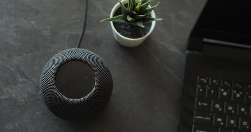 Using an HomePod Mini Speaker the Smart Speaker is Reacting to Voice Listening to Human Commands and