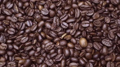Rotierender Hintergrund mit vielen glatten Röstungen, aromatischen dunklen Kaffeebohnen