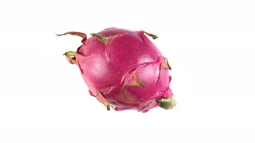 Exotic Fruit With A Refreshing Taste.