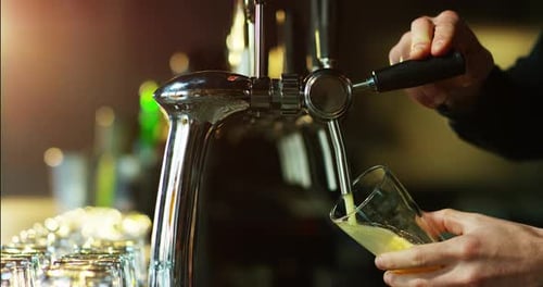 Bartender Pours Draft Beer at a Pub