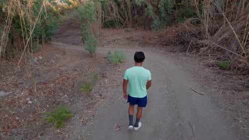 Man Walking Dog Along Sunny Dirt Trail