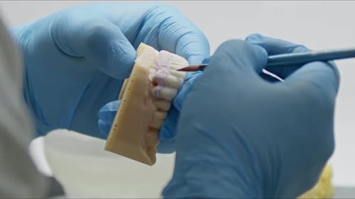 Hands Paint Dental Mold Model in Close Up