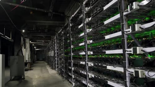 Large Wired Internet Datacenter Storage Cryptocurrency Mining Equipment on Large Farm ASIC Miners on