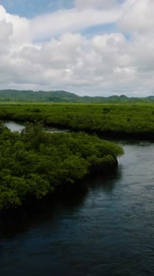 Calm Water Channel Through Green Mangrove Forest Siargao Philippines